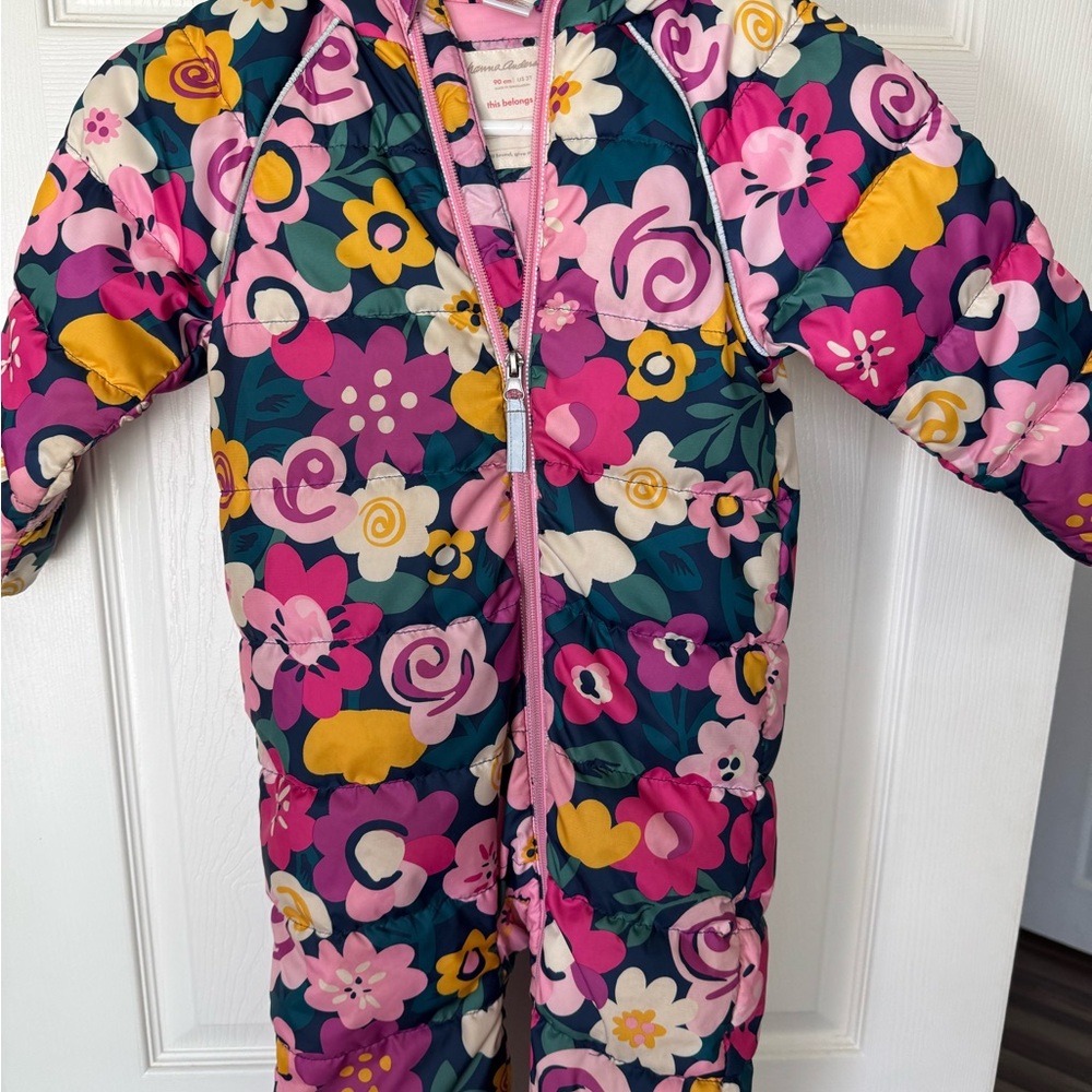 Hanna Andersson Pink and Blue Floral Snowsuit